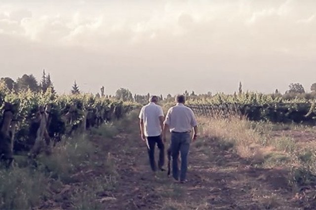 Trapiche Terroir Series