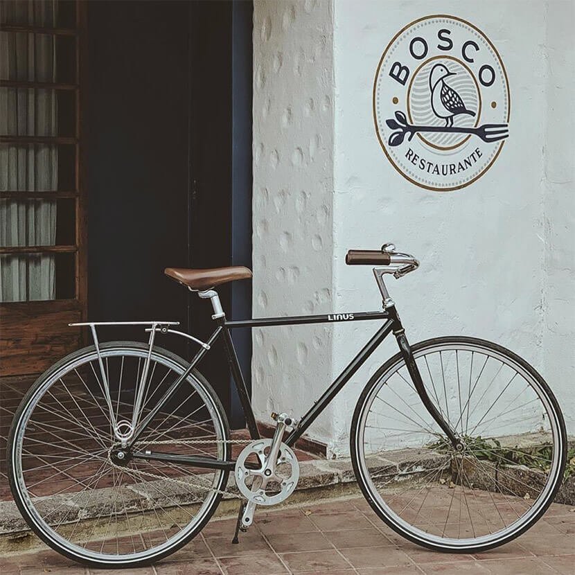 Bosco